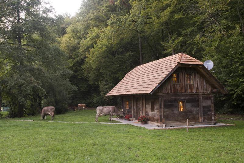 Domacija Seruga Countryside Hotel 新梅斯托 外观 照片