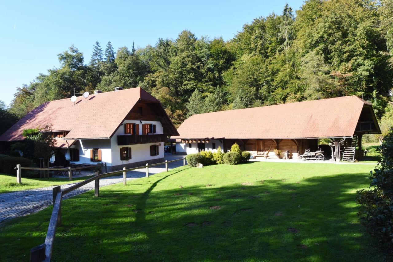 Domacija Seruga Countryside Hotel 新梅斯托 外观 照片