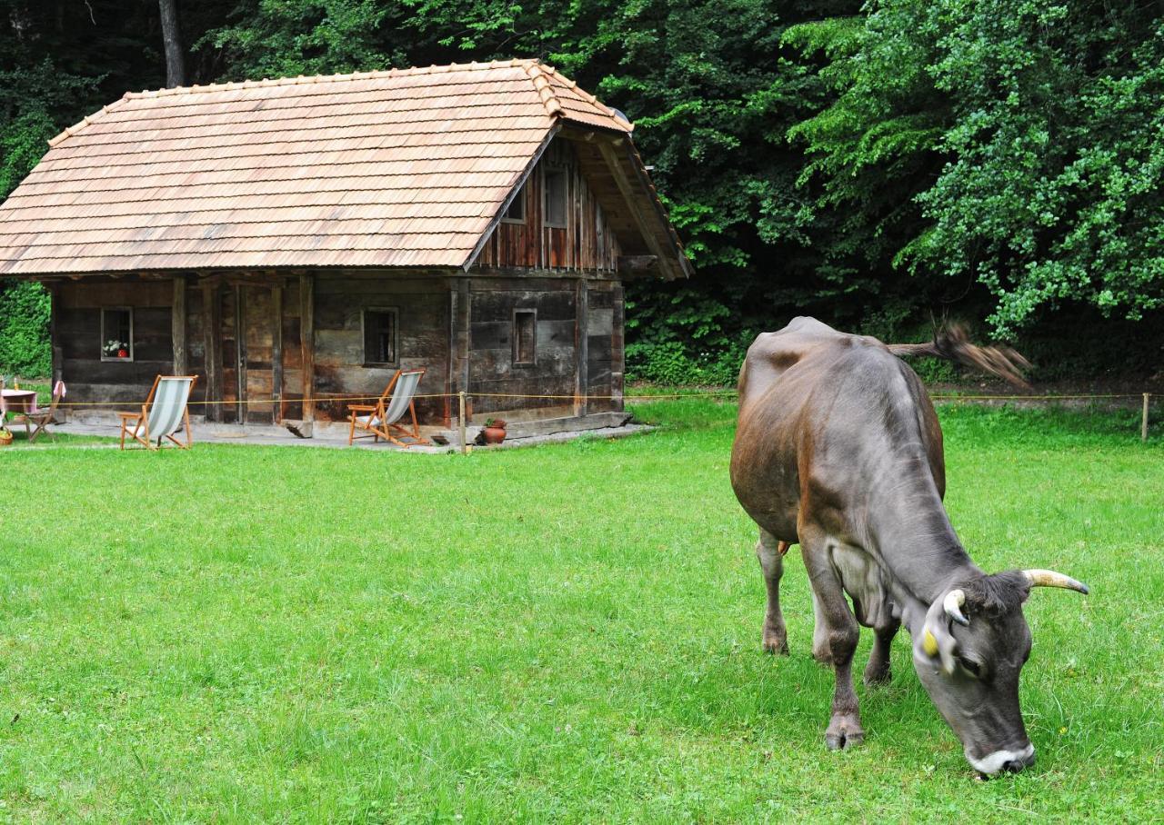 Domacija Seruga Countryside Hotel 新梅斯托 外观 照片