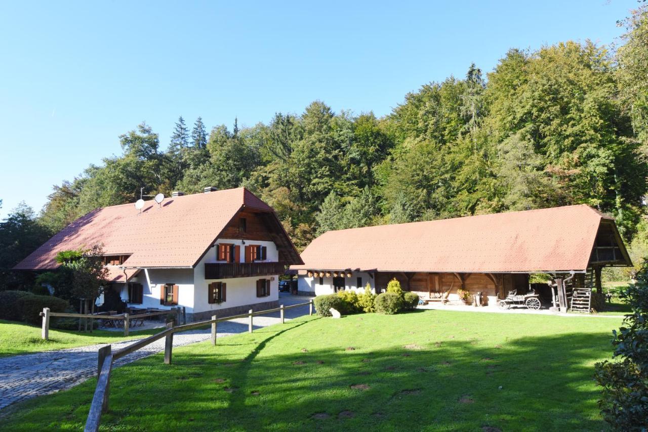 Domacija Seruga Countryside Hotel 新梅斯托 外观 照片