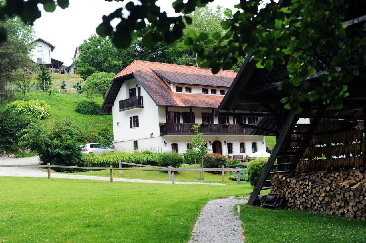 Domacija Seruga Countryside Hotel 新梅斯托 外观 照片