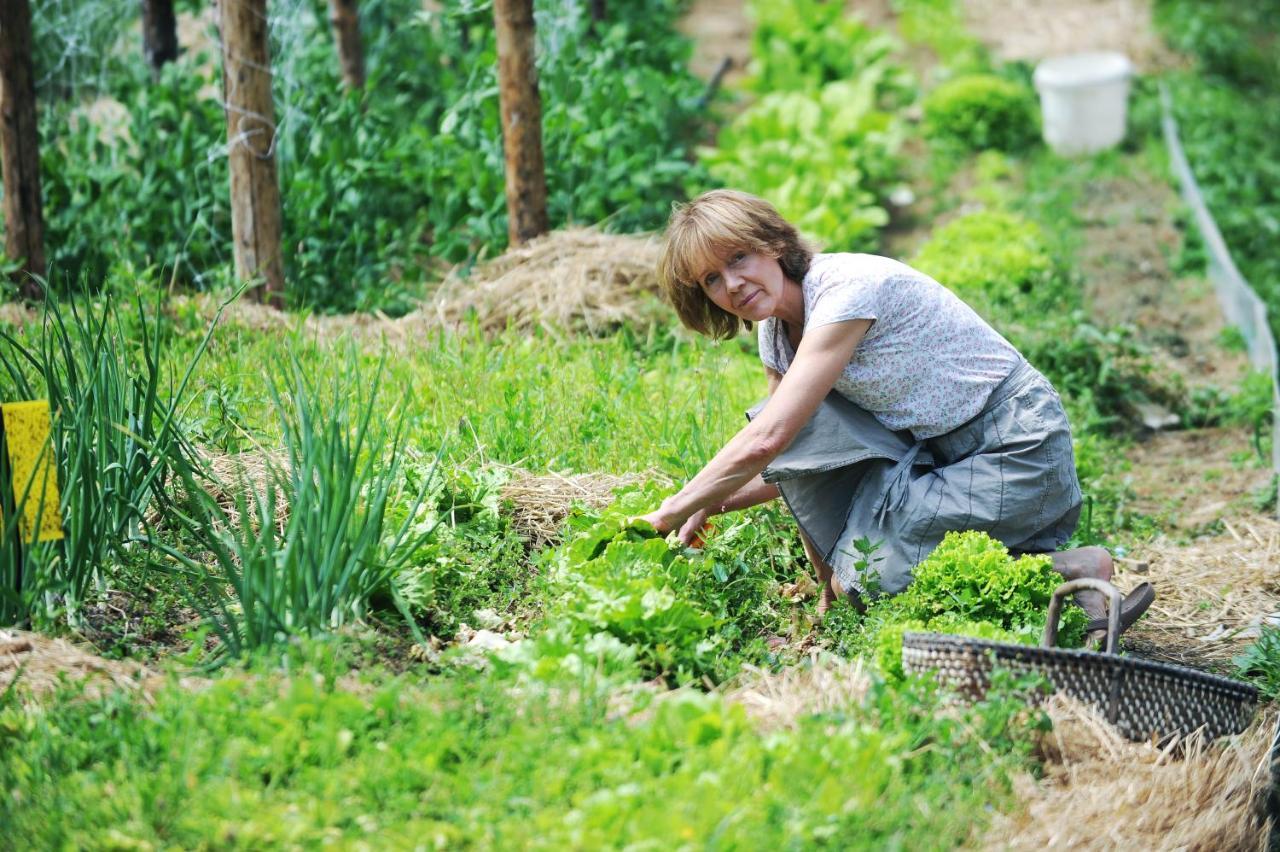 Domacija Seruga Countryside Hotel 新梅斯托 外观 照片