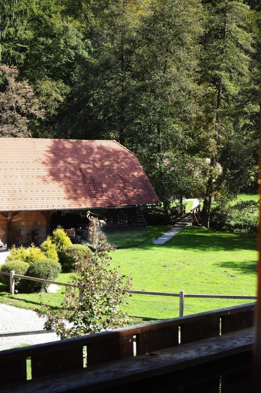 Domacija Seruga Countryside Hotel 新梅斯托 外观 照片